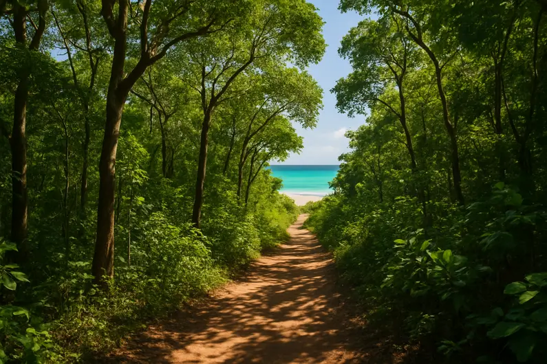 Trilha de caminhada Trilha de caminhada
