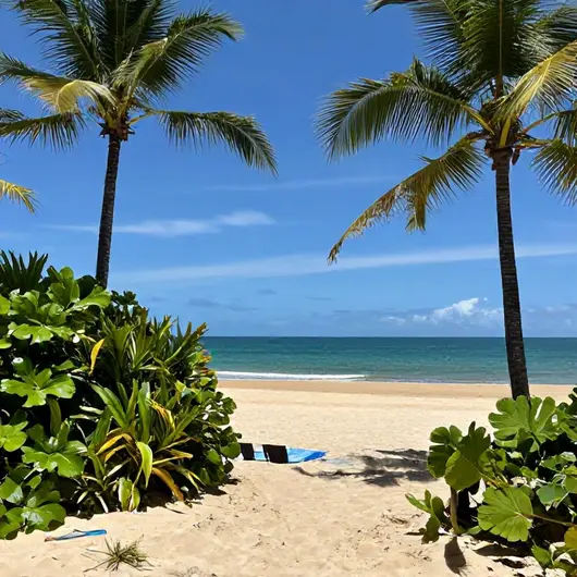Descubra a Praia do Cupe: Um Paraíso em Pernambuco