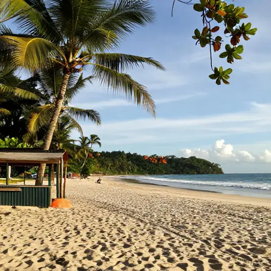 Descubra HM Viagens & Passeios: Seu Guia para a Praia de Muro Alto